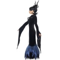 Kostým Lady Raven