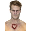 Jizva Pentagram